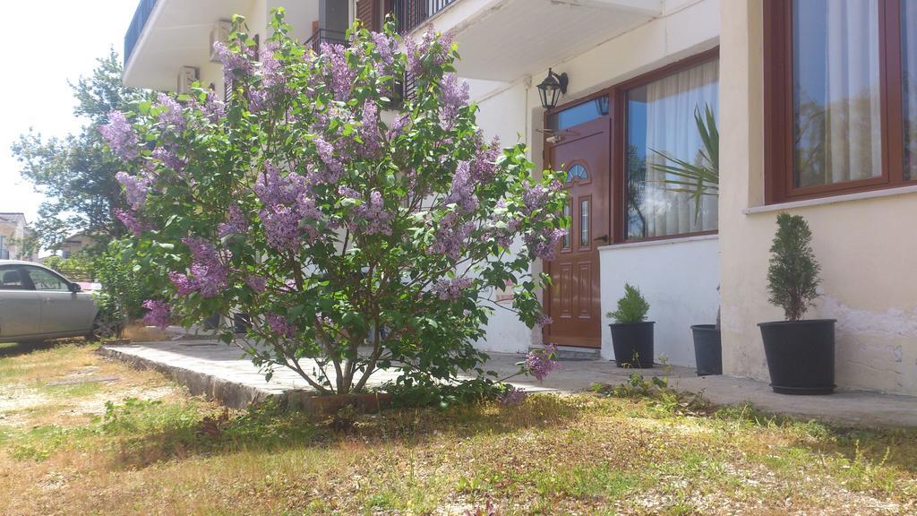Domus Inn Ioannina Exterior photo